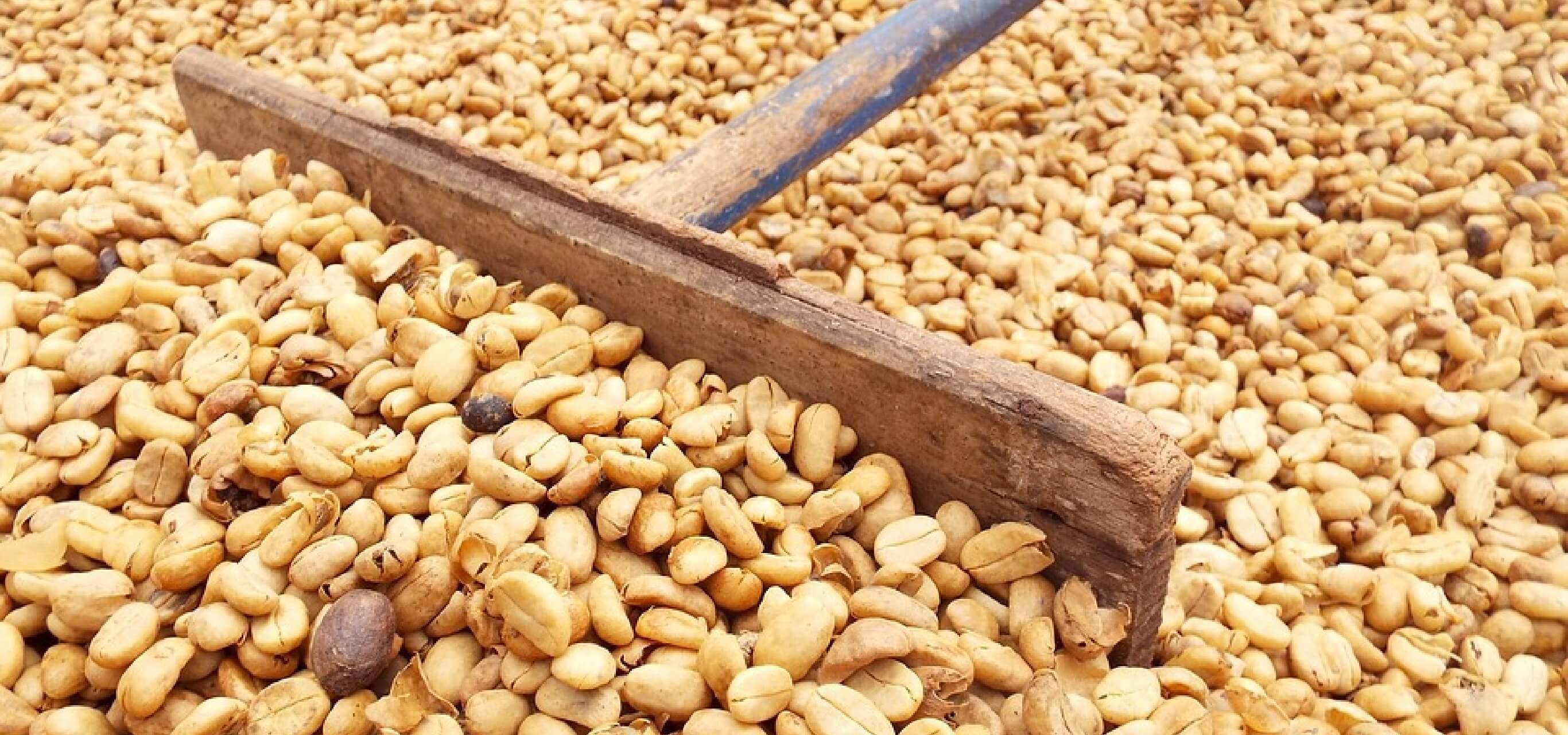 アラブ珈琲コンシェルジュ